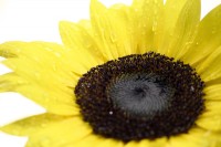 A-Plan-Schulung-Sommer-Märchen