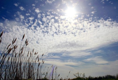 Sommer, Sonne, Projektmanagement? Sommer, Sonne, Projektmanagement?