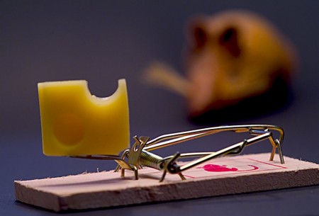 Mäusestrategie im Change Management (Quelle:piqs.de: "Spannung!"@Knipsermann)